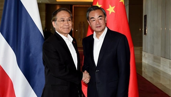 Chinese FM meets Thai counterpart to attend special China-ASEAN FMs' meeting
