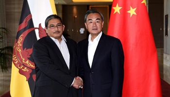 Chinese FM meets Brunei's Deputy Minister of Foreign Affairs and Trade