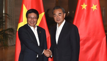 Chinese FM meets Vietnamese Deputy PM to attend special China-ASEAN FMs' meeting