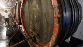 Tourists visit beer museum in E China's Qingdao
