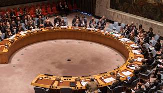 UN Security Council adopts resolution to ensure arms embargo on Libya