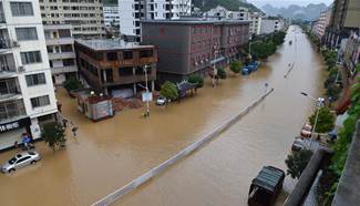 Rainstorm hits S. China's Luocheng, causing waterlogging