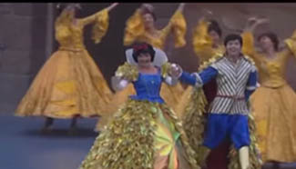 Shanghai Disney resort opens to public