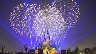 Fireworks show held at Shanghai Disney Resort
