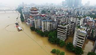 Liujiang River water level surpasses warning line, S China