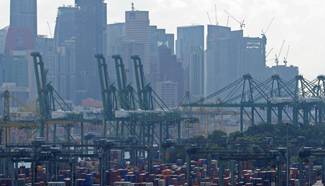 Singapore's non-oil domestic exports up 11.6 pct