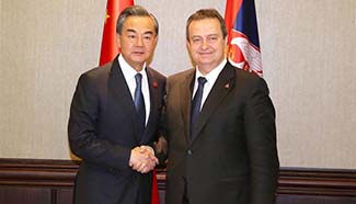 Chinese FM meets Serbia's 1st deputy PM in Belgrade