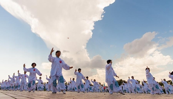 Tai chi fans practise in activity of Hohhot Nadam Fair