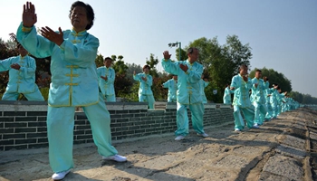 Tai chi fans practise in Hongze, E China's Jiangsu
