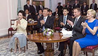 Chinese president meets Polish counterpart in Warsaw