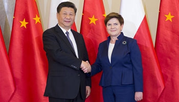 Xi calls for deeper, broader cooperation between China, Poland