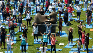 2016 Int'l Day of Yoga marked in New York