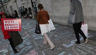 People attend "YES to Europe" rally in London