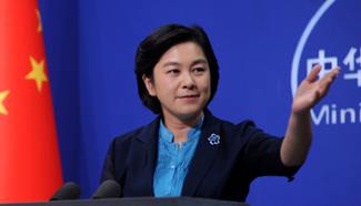 Chinese FM: Dozens of countries support China on South China Sea issue