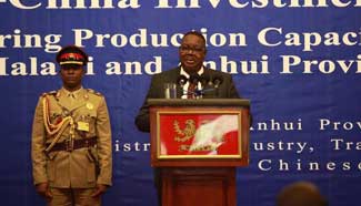 Malawi President urges Chinese investors to venture into various enterprises in Malawi