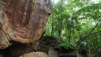 In pics: Wunyufeng National Forest Park in NE China