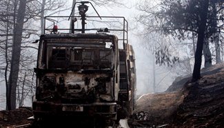 Aftermath of forest fires in Cyprus