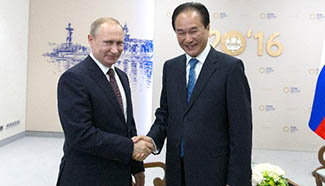 Putin receives exclusive interview with Xinhua's president