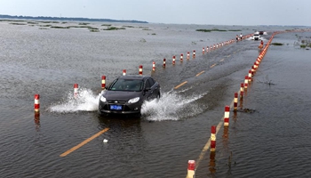 Flood inundates Dahuchi Road at E China's Poyang Lake State Nature Reserve