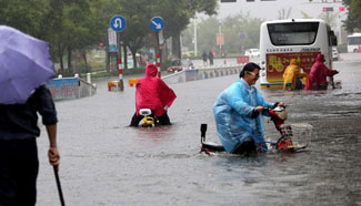 Rainstorm hits E China's Zaozhuang