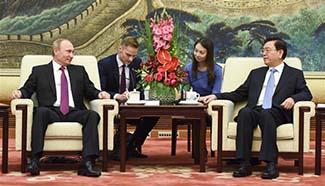 China's top legislator meets Russian president in Beijing