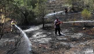 Wildfire in Greece scorches forest, farmland, threatens residential areas