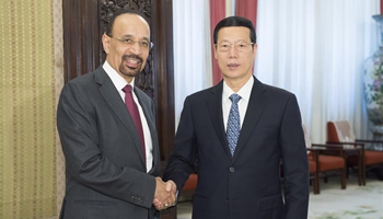 China, Saudi Arabia vow to enhance economic cooperation