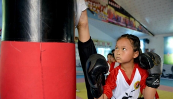 Children learn martial arts at training center in C China's county