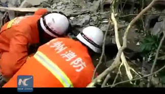 10 killed in SW China landslide