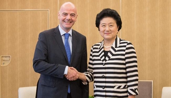 Chinese vice premier meets FIFA president on China's football reform