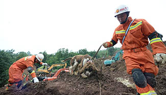 Rescue work continues at landslide site in Guizhou's village