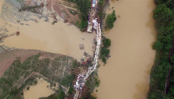 Breach caused by floods triggered by heavy rainfalls blocked in China's Wuhan