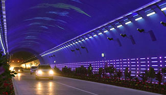 Liupan Mountain Tunnel opens to traffic in northwest China