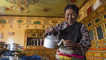 Living standard of people keeps rising in Xigaze, China's Tibet