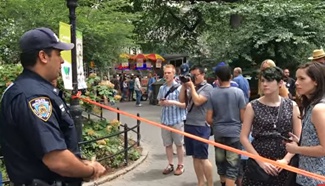 An explosion hit New York’s Central Park, injuring 1