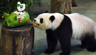 Taipei Zoo celebrates birthday for giant panda Yuanzai