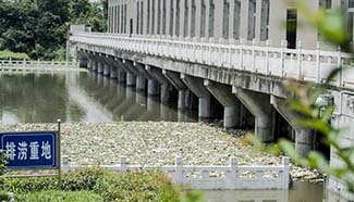 Tangxun Lake pumping station drains water in flood-hit Wuhan