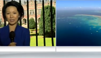 Crossover: Arbitral tribunal has released opinion