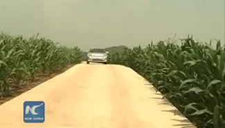 Car rolls uphill against gravity on ‘bizarre slope’ in NE China