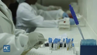 What we know about Zika virus