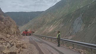 Landslide occurs on section of No. 318 national highway in SW China