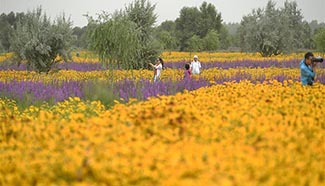 Flower-decorated scenic spot in NW China