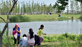 People play at Dounan wetland park bordering Dianchi Lake in SW China's Kunming