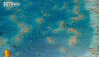 China counsels against taking US advice