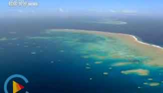 Interview with Prof. Tony Carty: China has historical rights in S. China Sea