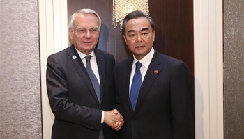 Chinese FM extends condolences to Nice attack victims