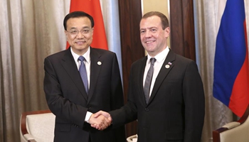 Russia opposes internationalizing South China Sea disputes: Medvedev