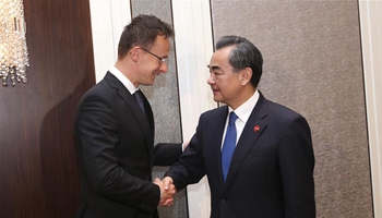 China, Hungary eye faster progress in railway project with Serbia