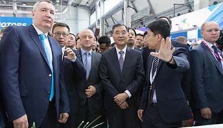 Chinese vice premier, Russian deputy PM attend China-Russia Exposition