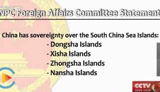 NPC Foreign Affairs Comm: Award has no binding force